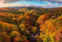 30 citate de toamna care celebreaza cele mai bune parti ale anotimpului