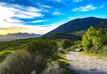 37 citate despre frumusetea naturala
