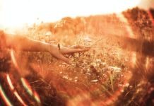 49 citate ale lui Alan Watts pentru a trai o viata plina de sens