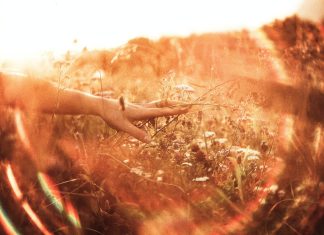 49 citate ale lui Alan Watts pentru a trai o viata plina de sens