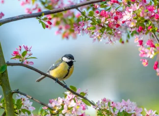 Cele mai bune 30 citate din luna martie