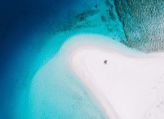 186 citate frumoase de la oameni celebri