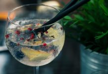 Cu ce poate fi combinata vodka pentru a putea fi savurata si de bautorii mai putin obisnuiti?